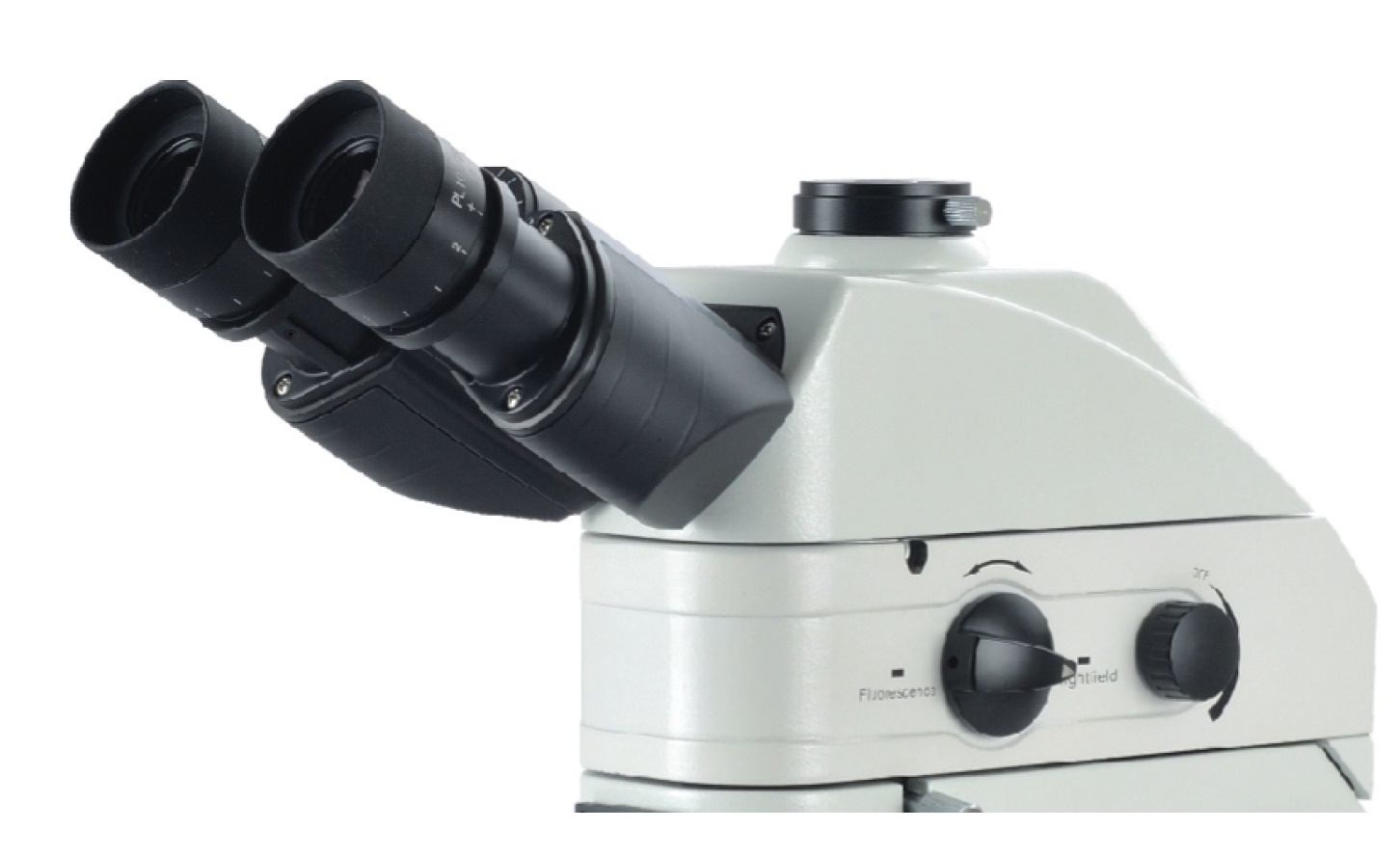 BM-X LED fluorescence module
